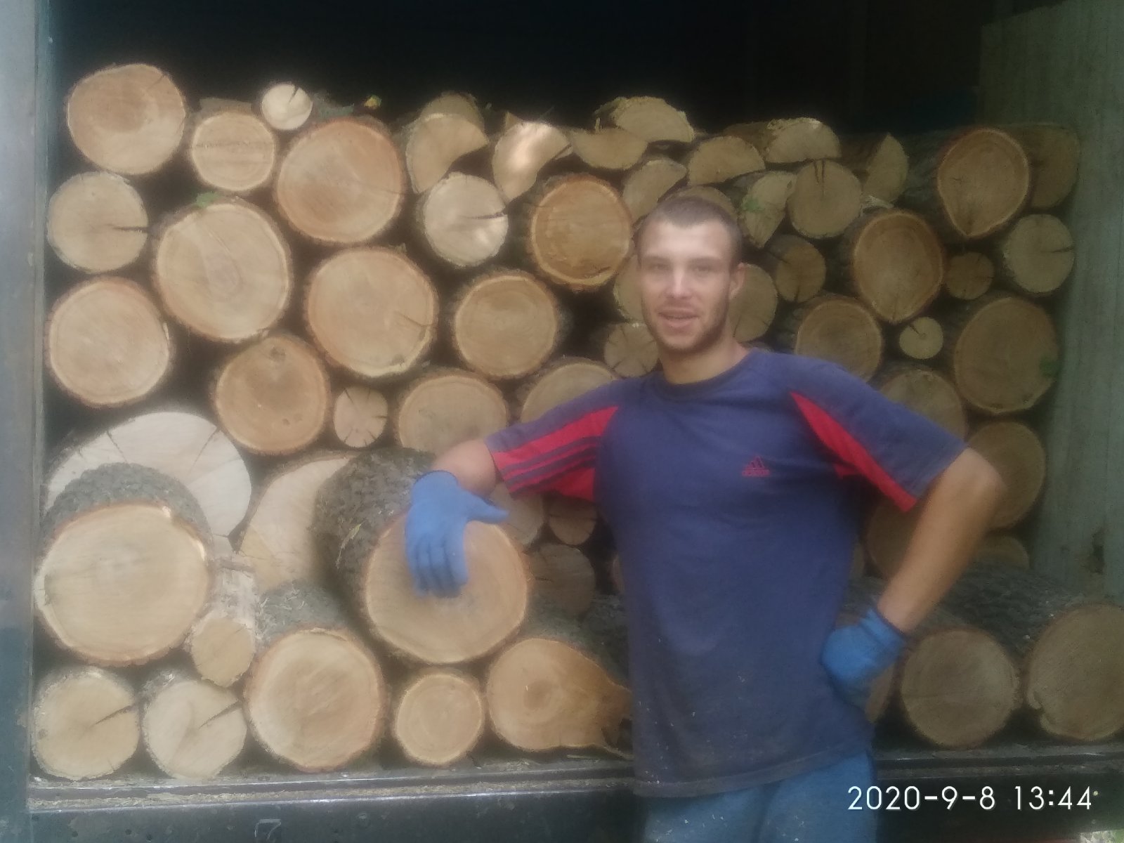 дрова дубовые